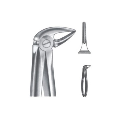 Tooth Extracting Forceps